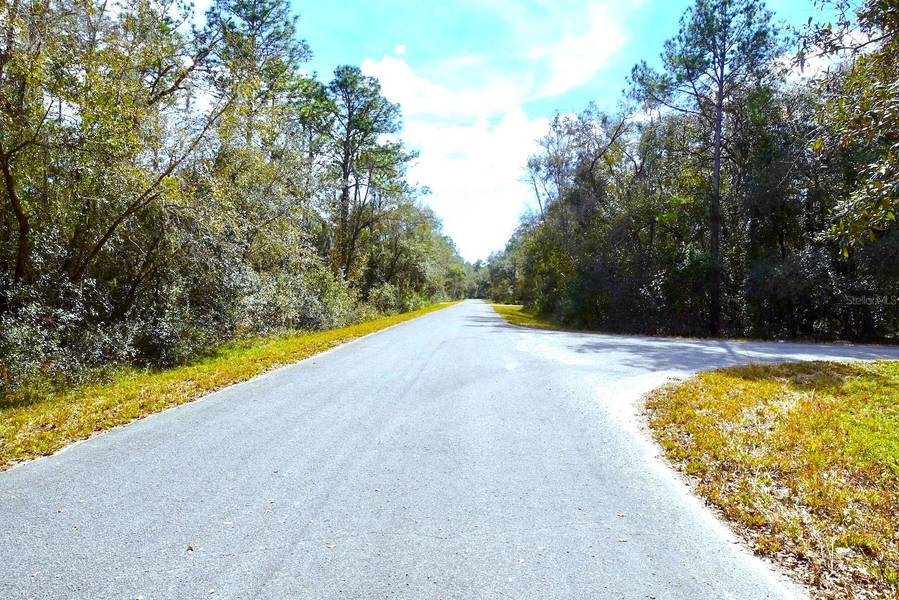 TBD SEQUOIA DRIVE COURT, Ocklawaha, FL 32179