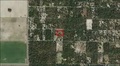 Dunnellon, FL 34432,Lot 203 SW 93RD PL