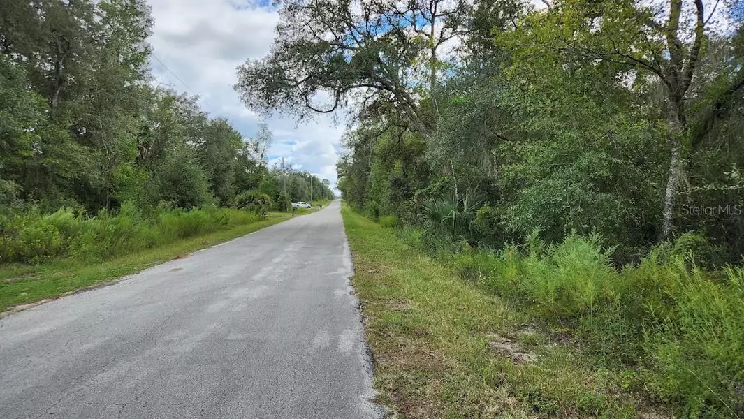 lot 4 SW SHASTA CT, Dunnellon, FL 34431