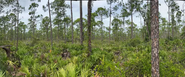 4550 BURNT STORE RD N, Cape Coral, FL 33993