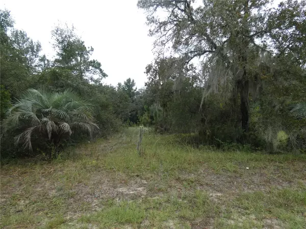 Dunnellon, FL 34431,LOT 7 SW NEPTUNE BLVD