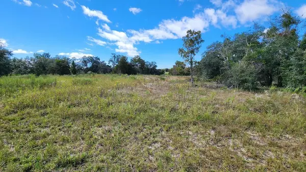 Dunnellon, FL 34431,Lot 12 SW VIOLA CT