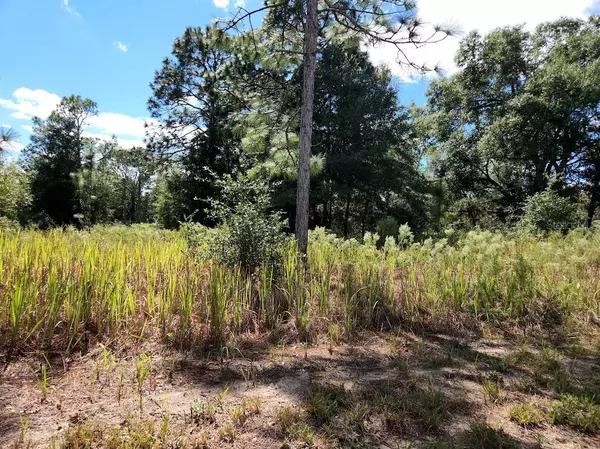 Ocala, FL 34481,Lot 11 SW 27TH ST