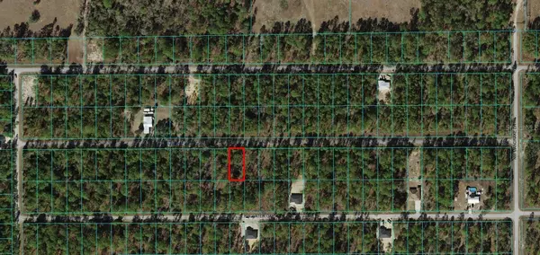 Dunnellon, FL 34431,00 NW ASPEN LN