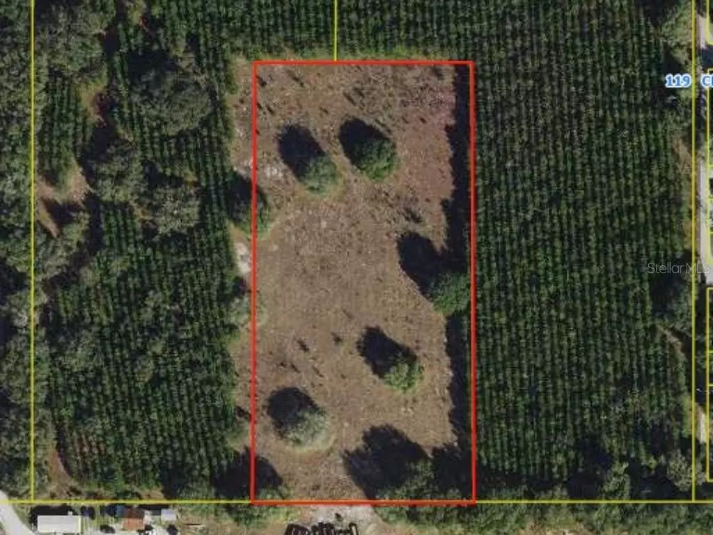 Lake Panasoffkee, FL 33538,00 CR 489