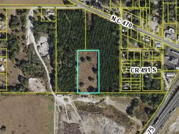 Lake Panasoffkee, FL 33538,00 CR 489