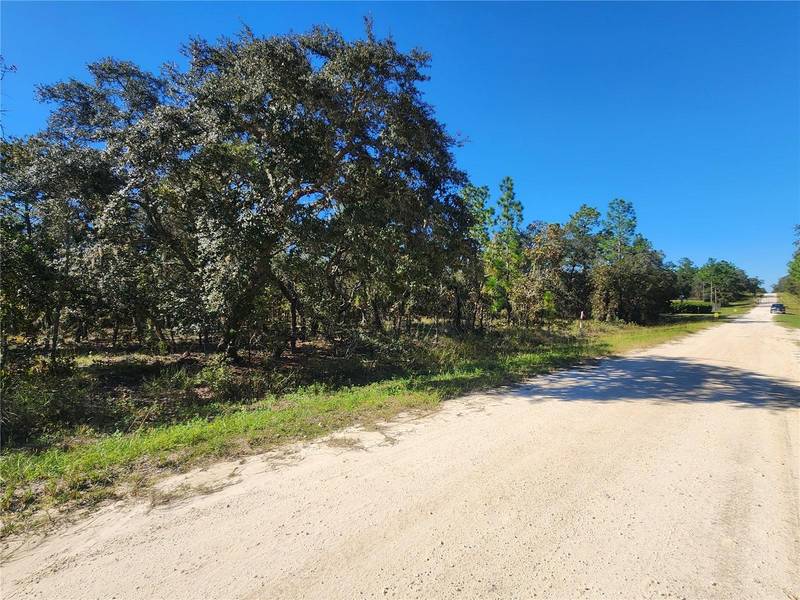 TBD SW 88TH ST, Dunnellon, FL 34432