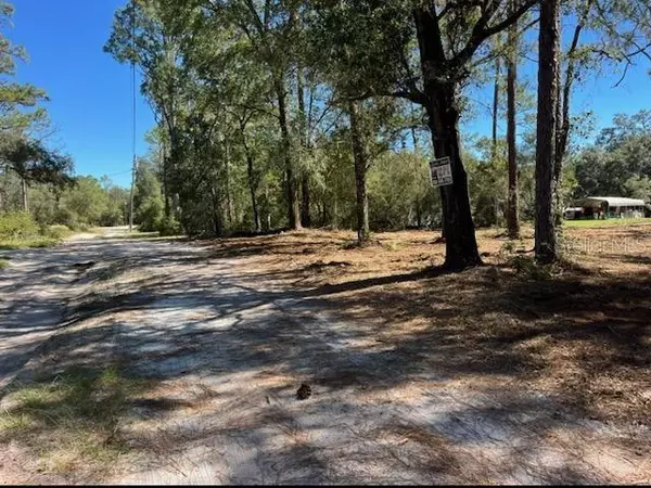 Dunnellon, FL 34432,TBD SW 153RD LN