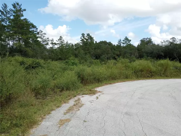 Ocala, FL 34476,TBD SW 98 PL