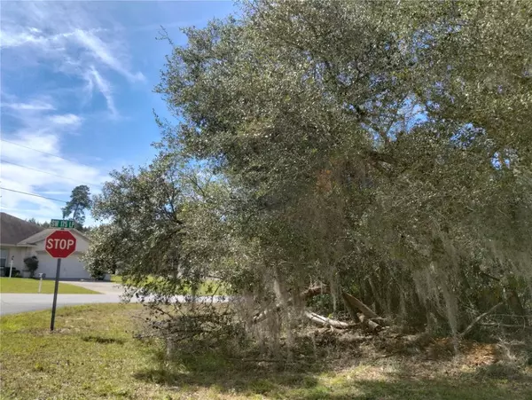 Ocala, FL 34473,00 SW 176TH LOOP