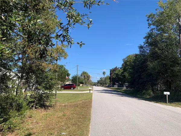 Belleview, FL 34420,Lot 24 SE 84TH TER