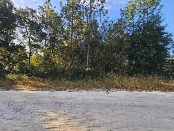 Dunnellon, FL 34432,TBD SW 51ST LN