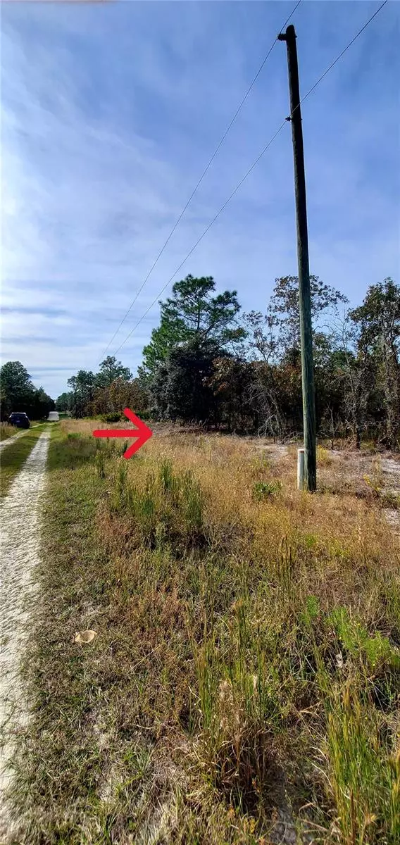 Dunnellon, FL 34432,TBD SW 95TH PL