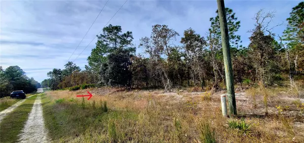 Dunnellon, FL 34432,TBD SW 95TH PL