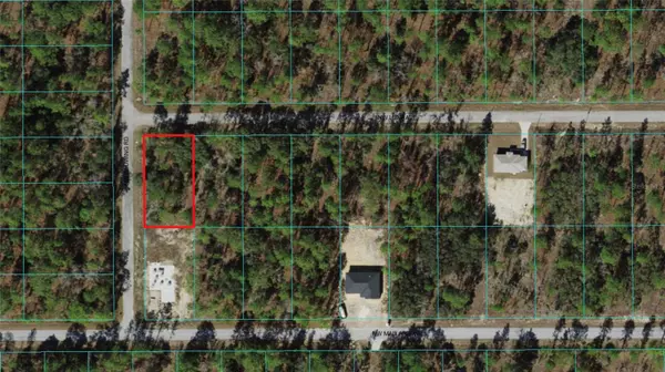 Dunnellon, FL 34431,00 NW LUNA AVE