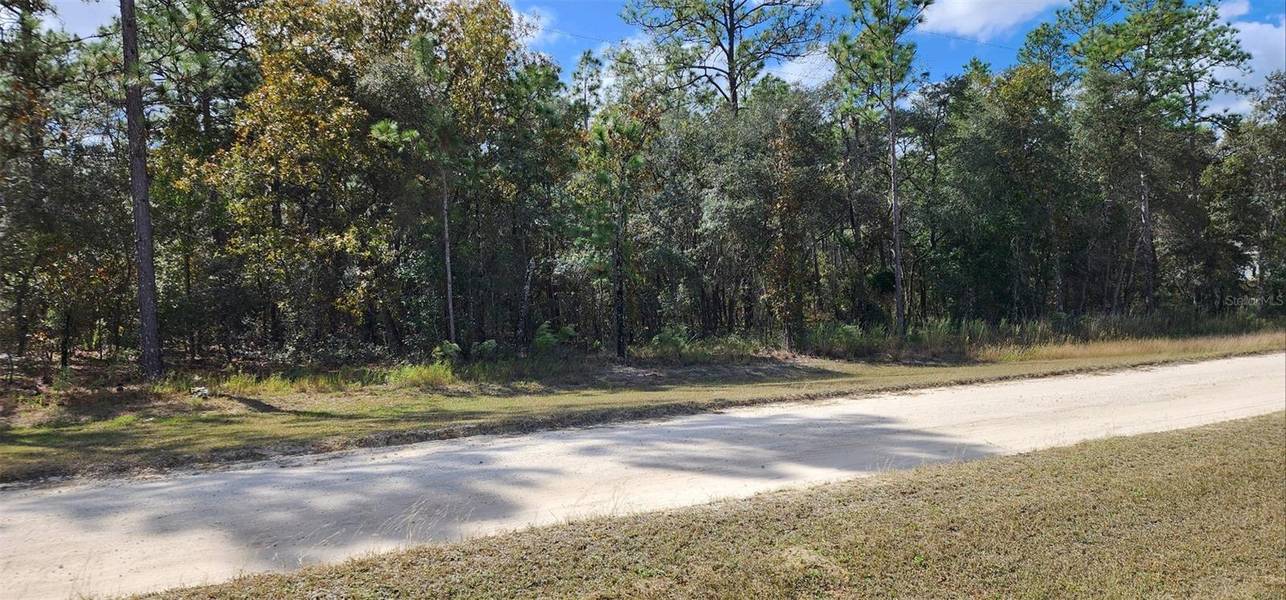 0 SW 80 ST, Dunnellon, FL 34432