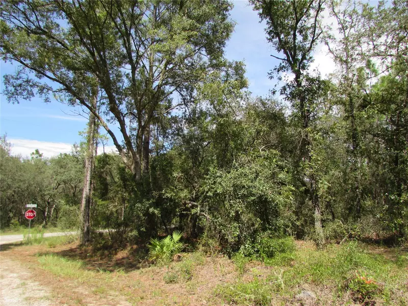 TBD SE 123RD AVE, Dunnellon, FL 34431