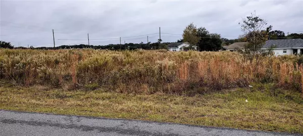 Ocala, FL 34480,Lot 1 CHESTNUT RD