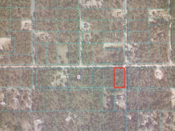 Dunnellon, FL 34432,0 SW 89 ST