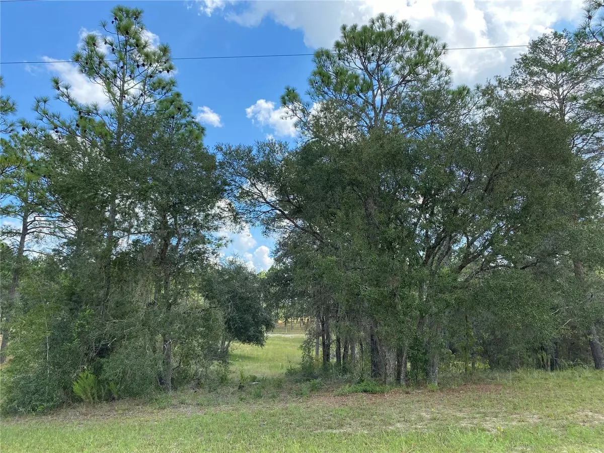 Morriston, FL 32668,00 SE 150TH AVE