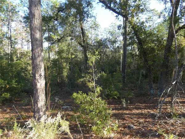 Dunnellon, FL 34431,LOT 31 SW 93 LANE RD #DUNNELLON