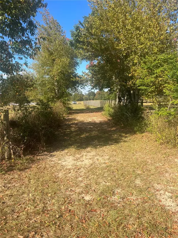 Weirsdale, FL 32195,SE 170TH ST