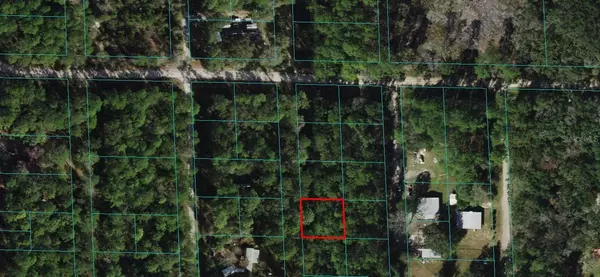 00 NE 66TH CT, Citra, FL 32113