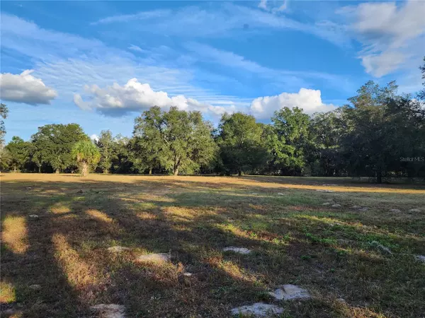 Morriston, FL 32668,TBD NW 167TH CT