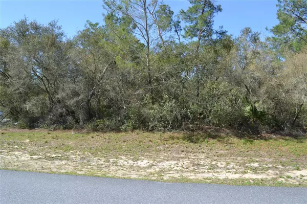 00 SW 168TH LOOP, Ocala, FL 34473