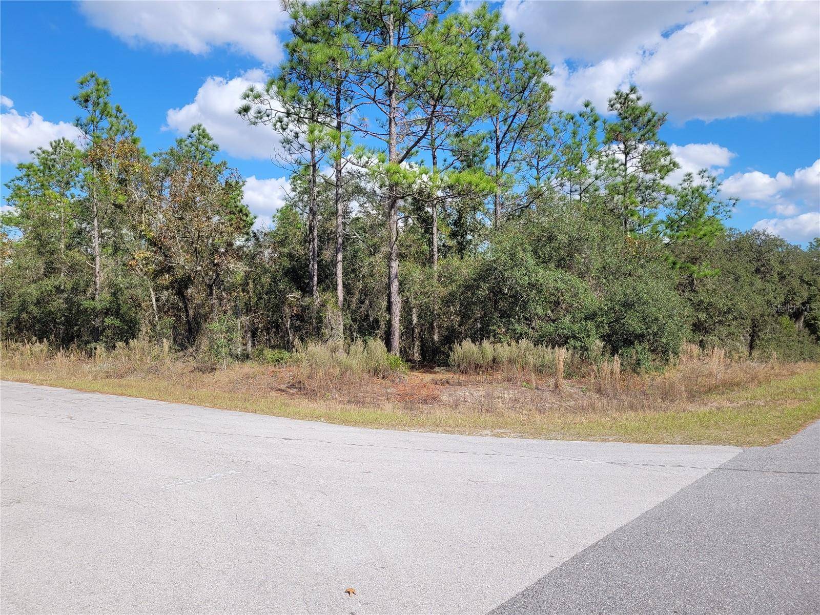 Dunnellon, FL 34431,0 SW TAMIAMI PL