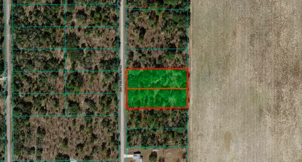 Dunnellon, FL 34431,1281 SW VIBURNUM RD