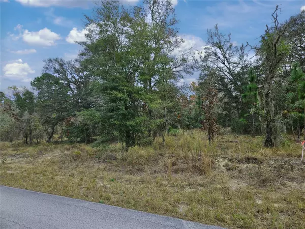 Dunnellon, FL 34431,1281 SW VIBURNUM RD