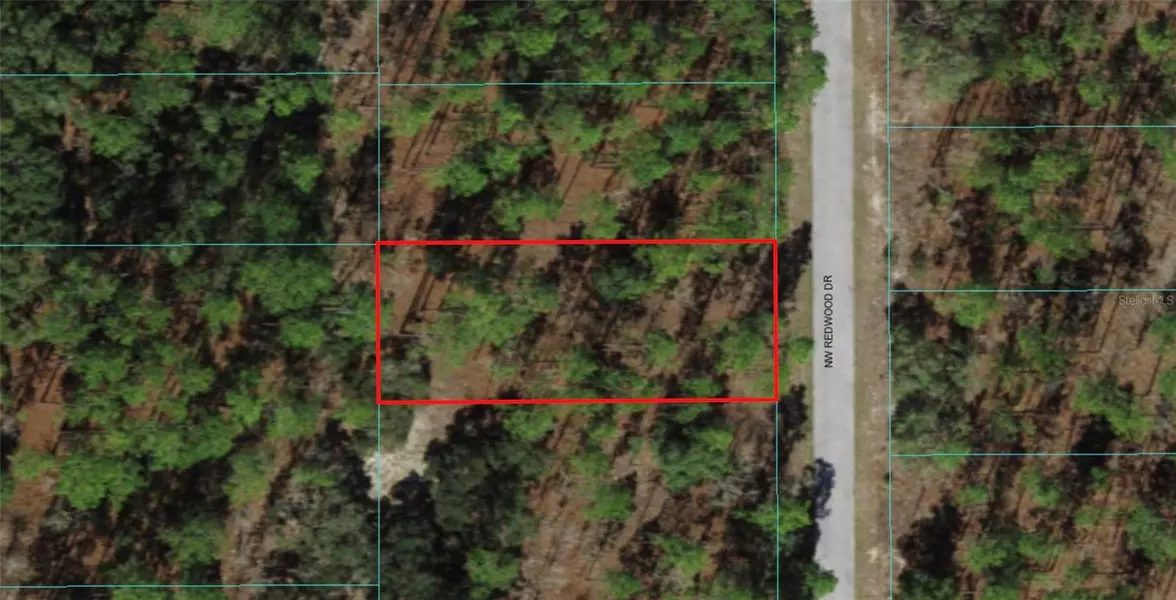 00 NW REDWOOD DR, Dunnellon, FL 34432