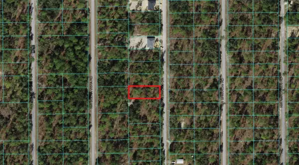 Dunnellon, FL 34432,00 NW REDWOOD DR