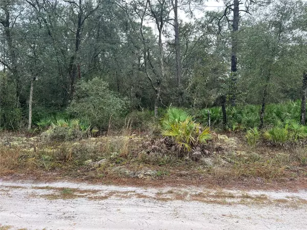 00 SW 153 LN, Dunnellon, FL 34432