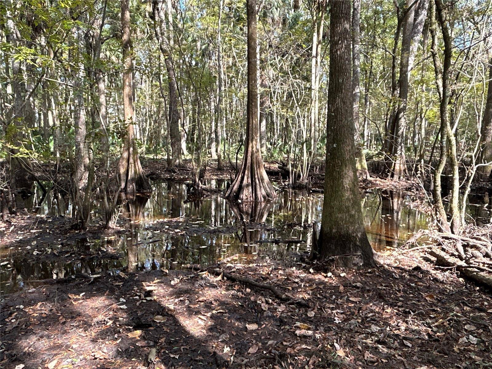 Hilliard, FL 32046,0 MIDDLE RD