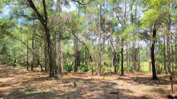 #1a - 10.01ac NE 150TH AVE RD,  Fort Mc Coy,  FL 32134