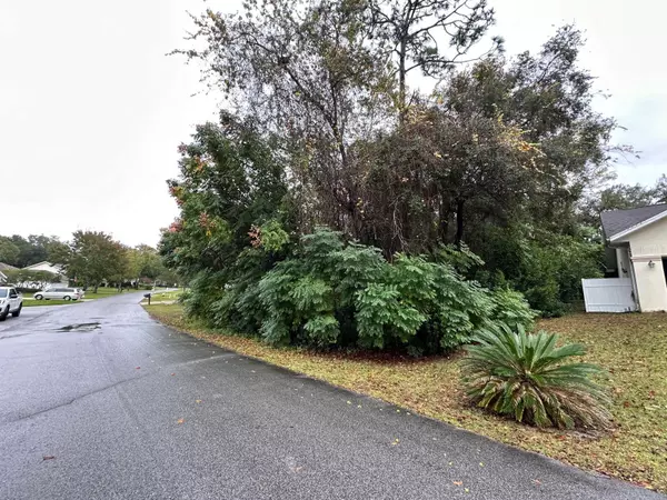 Dunnellon, FL 34432,0 SW 198TH CIR