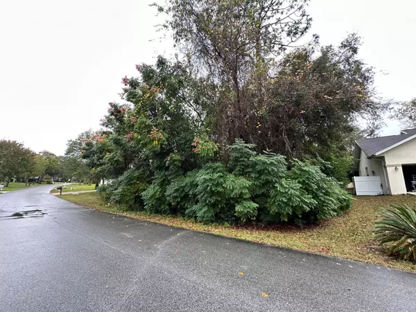 Dunnellon, FL 34432,0 SW 198TH CIR