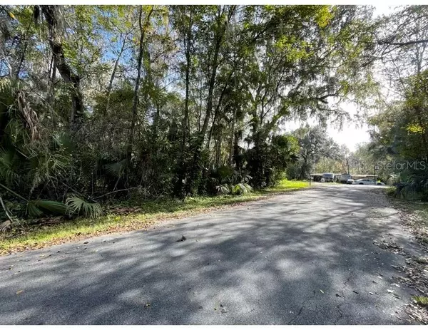 Lake Panasoffkee, FL 33538,0 CR 405D