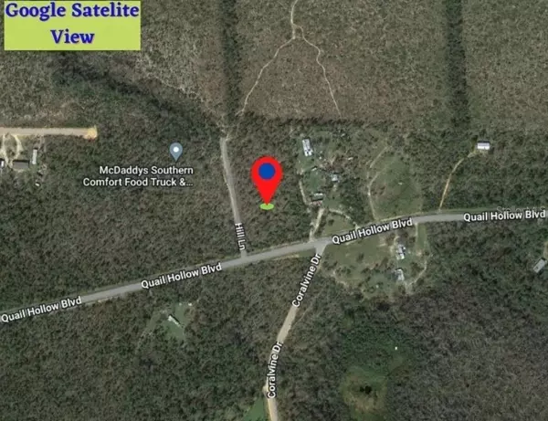 Chipley, FL 32428,LOT 7 HILL LN