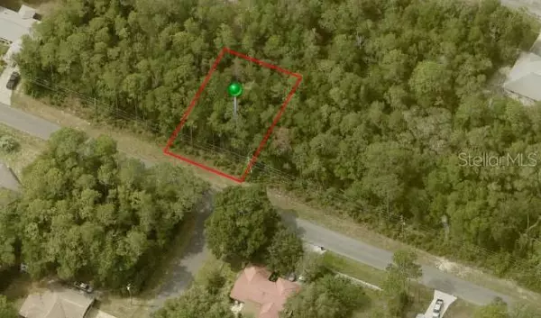 2218 W ARBUTUS DR, Citrus Springs, FL 34434