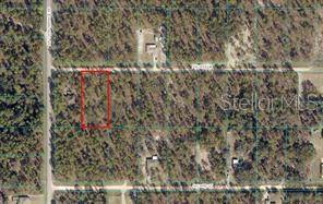 91 ST LN, Dunnellon, FL 34432