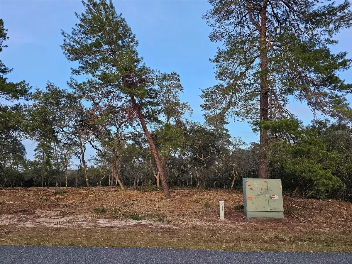 Ocala, FL 34473,Address not disclosed