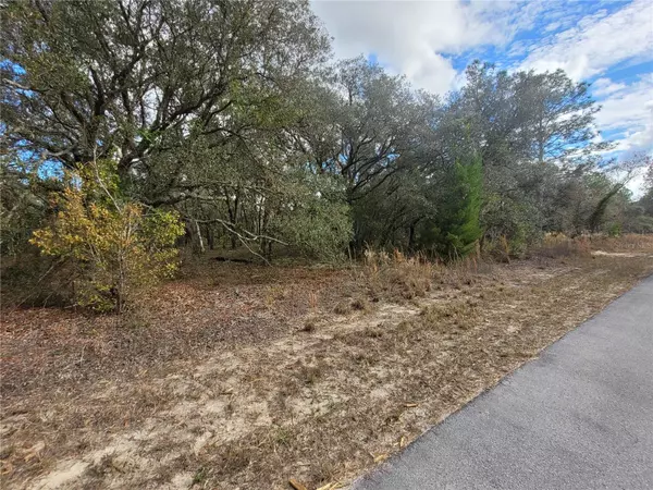 Dunnellon, FL 34431,Lot 34 SW TAMIAMI PL