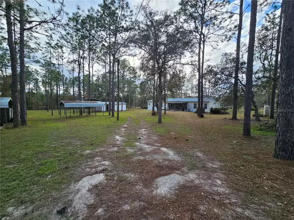 Morriston, FL 32668,5571 SE COUNTY ROAD 337