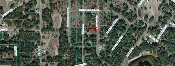 Ocklawaha, FL 32179,Lot 14 MAGNOLIA DR