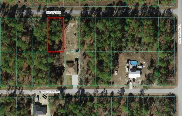 Dunnellon, FL 34431,TBD NW ASPEN LN