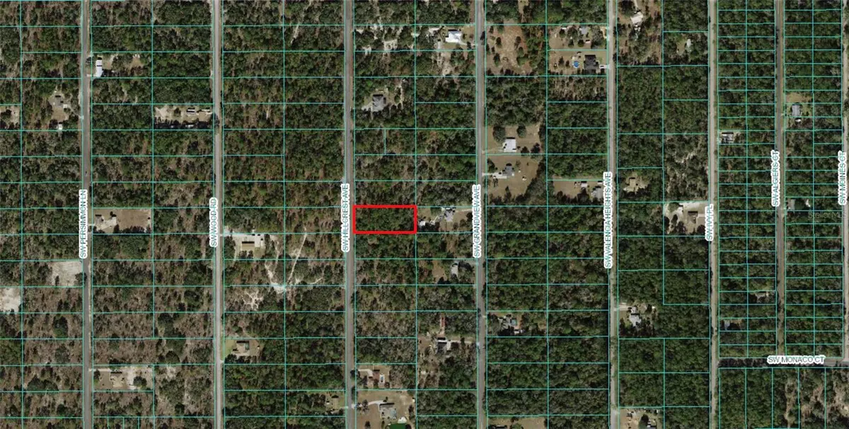 Dunnellon, FL 34431,00 SW HILLCREST AVE