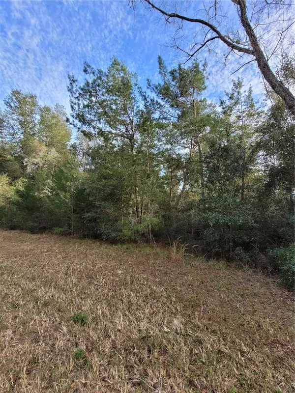 Ocala, FL 34473,Lot 3 SW 145 PL. RD.